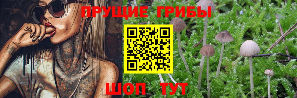 Галлюциногенные грибы MAGIC MUSHROOMS Нефтекумск